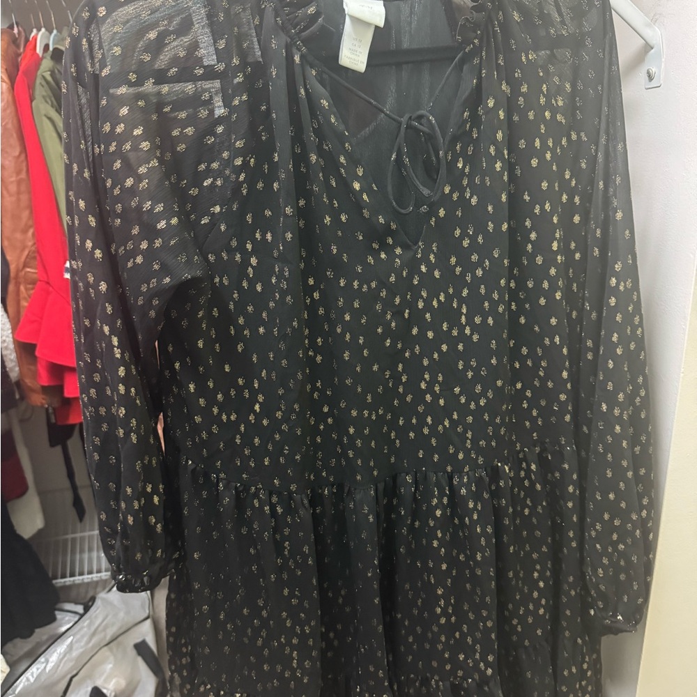 H&M Black Dress with Gold Details